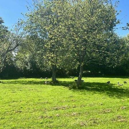 Adorable Two Bed Norfolk Broads Holiday Home - River Views With Moorings & Fishing Стегем Екстер'єр фото