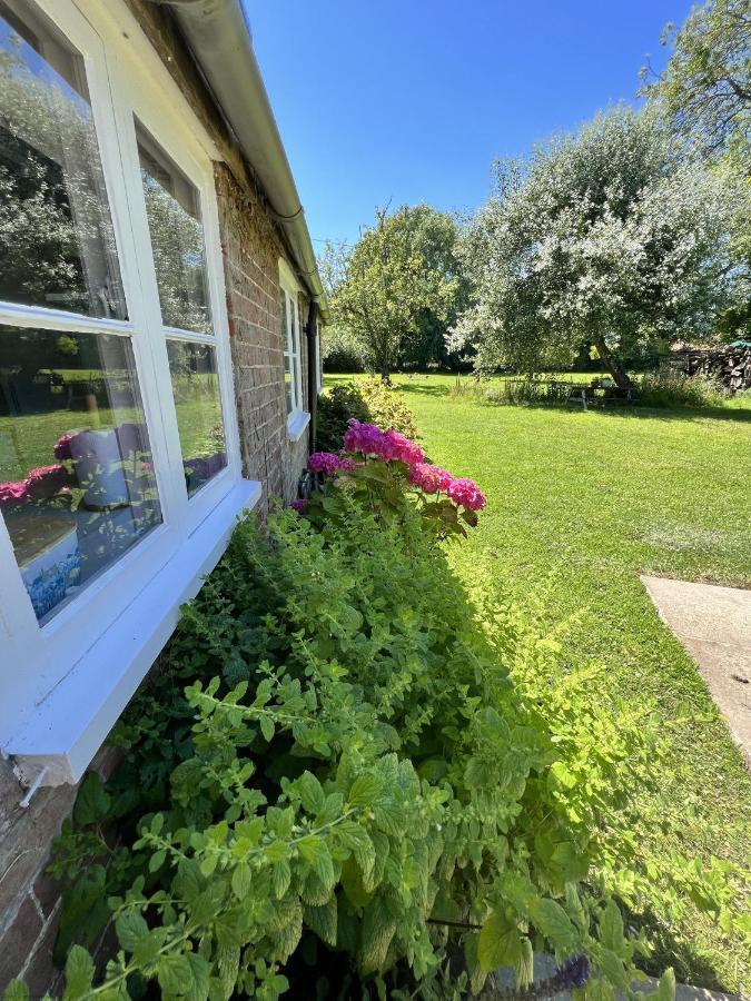 Adorable Two Bed Norfolk Broads Holiday Home - River Views With Moorings & Fishing Стегем Екстер'єр фото